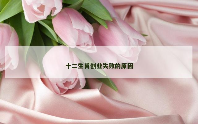 十二生肖创业失败的原因