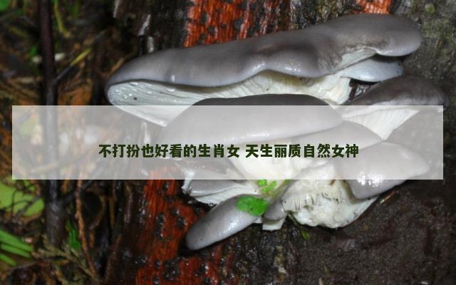 不打扮也好看的生肖女 天生丽质自然女神