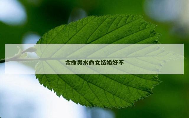 金命男水命女结婚好不