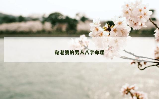 粘老婆的男人八字命理
