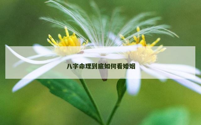 八字命理到底如何看婚姻