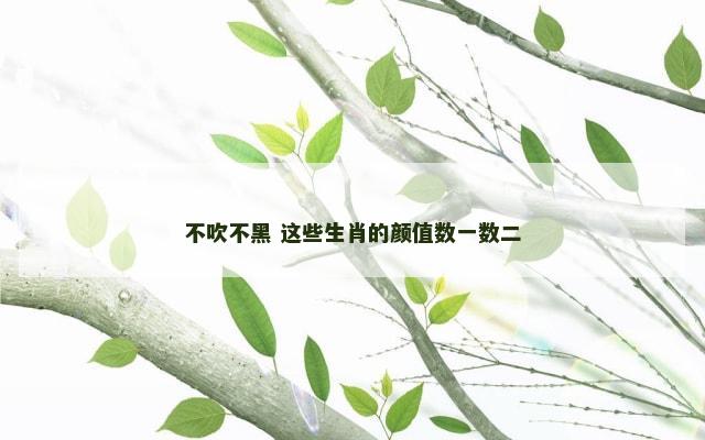 不吹不黑 这些生肖的颜值数一数二