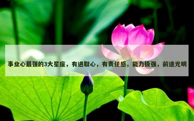 事业心最强的3大星座，有进取心，有责任感，能力极强，前途光明