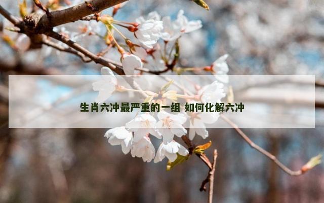 生肖六冲最严重的一组 如何化解六冲