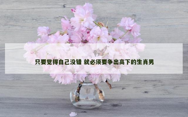 只要觉得自己没错 就必须要争出高下的生肖男