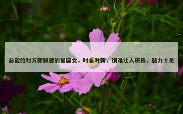 总能给对方新鲜感的星座女，时看时新，很难让人厌倦，魅力十足