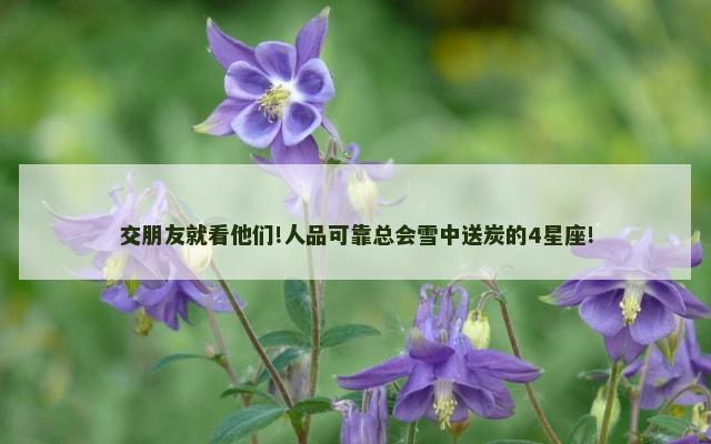 交朋友就看他们!人品可靠总会雪中送炭的4星座!