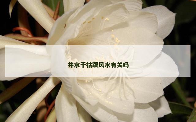 井水干枯跟风水有关吗