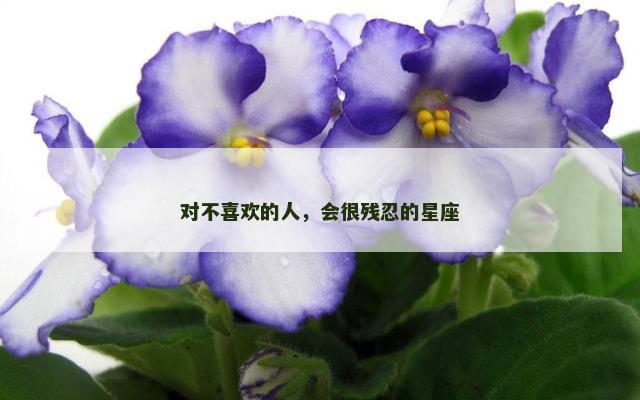 对不喜欢的人，会很残忍的星座