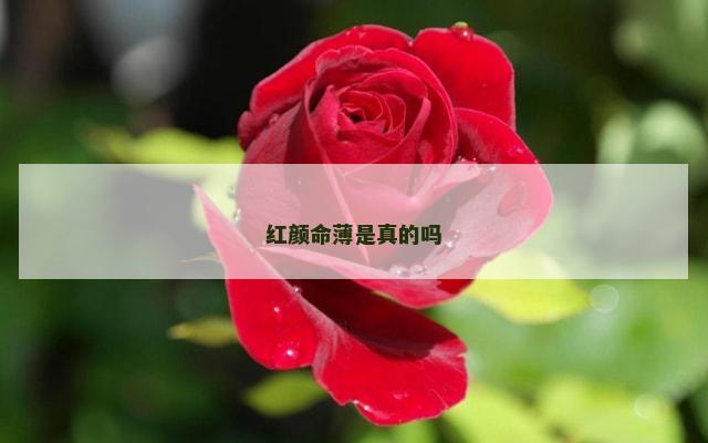 红颜命薄是真的吗