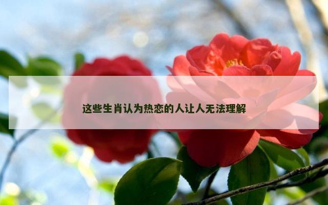 这些生肖认为热恋的人让人无法理解