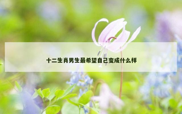 十二生肖男生最希望自己变成什么样