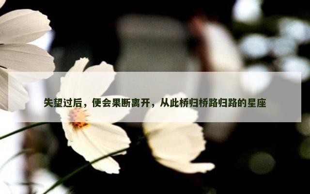 失望过后，便会果断离开，从此桥归桥路归路的星座