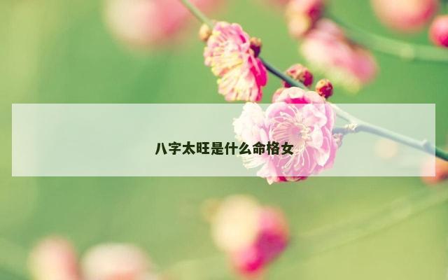 八字太旺是什么命格女