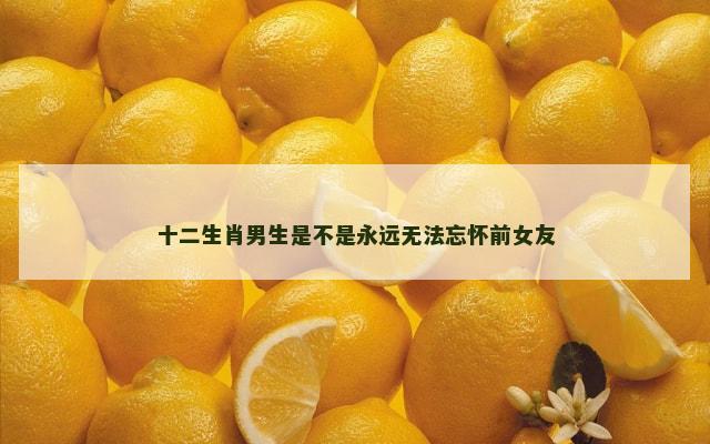 十二生肖男生是不是永远无法忘怀前女友