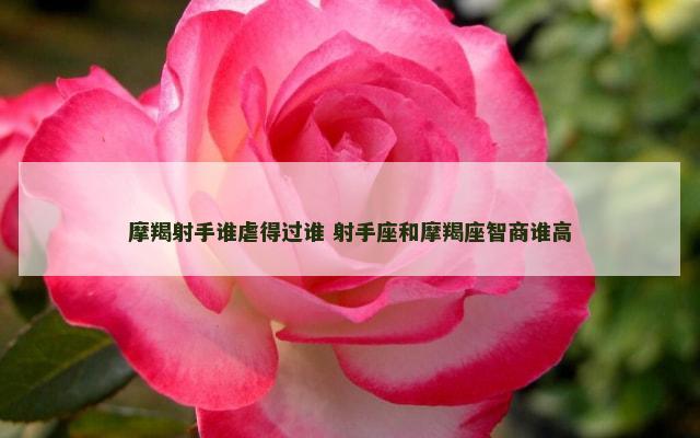 摩羯射手谁虐得过谁 射手座和摩羯座智商谁高