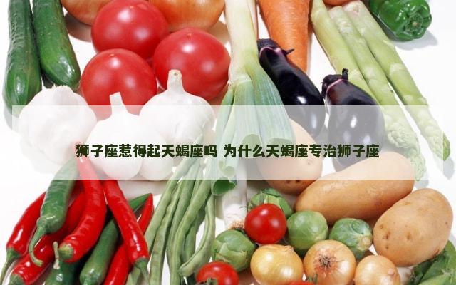 狮子座惹得起天蝎座吗 为什么天蝎座专治狮子座