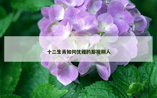十二生肖如何优雅的鄙视别人