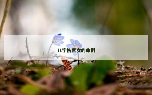 八字伤官女的命例