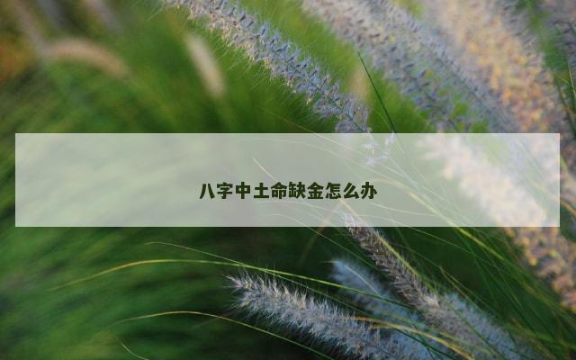 八字中土命缺金怎么办