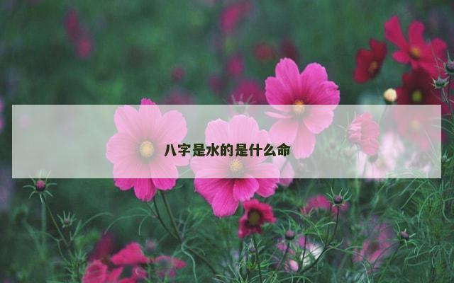 八字是水的是什么命
