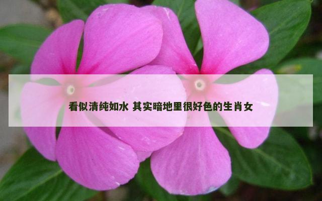 看似清纯如水 其实暗地里很好色的生肖女
