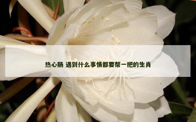 热心肠 遇到什么事情都要帮一把的生肖