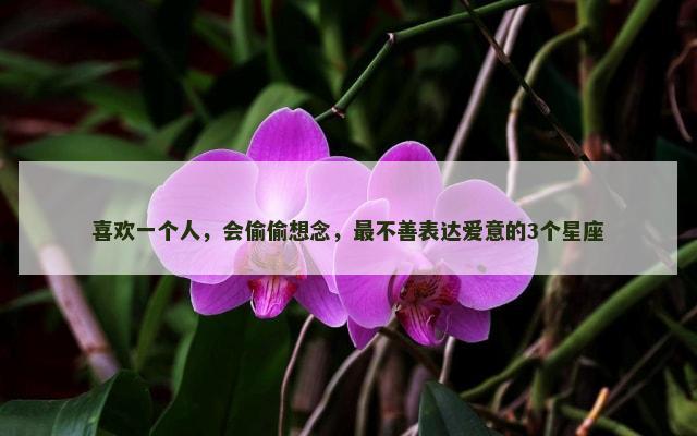 喜欢一个人，会偷偷想念，最不善表达爱意的3个星座