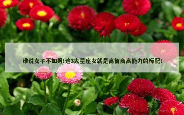 谁说女子不如男!这3大星座女就是高智商高能力的标配!
