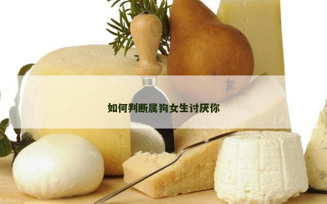 如何判断属狗女生讨厌你
