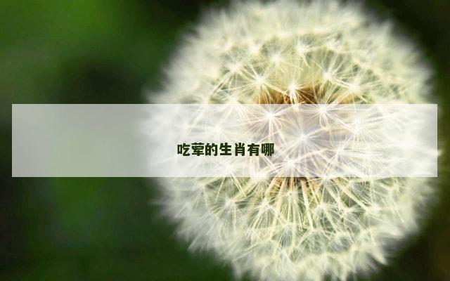 吃荤的生肖有哪