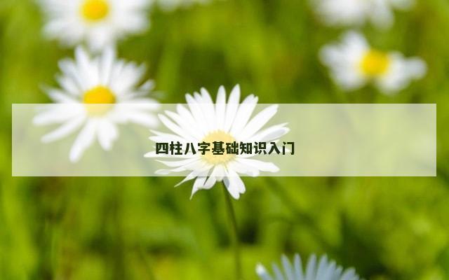 四柱八字基础知识入门