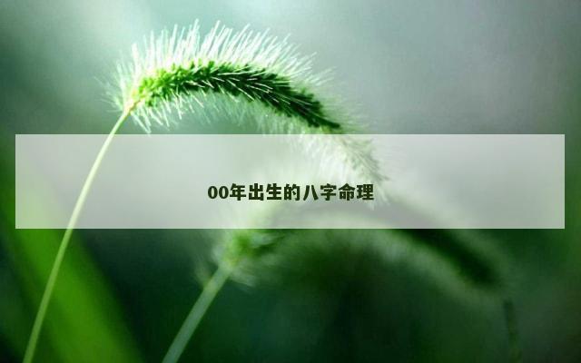 00年出生的八字命理
