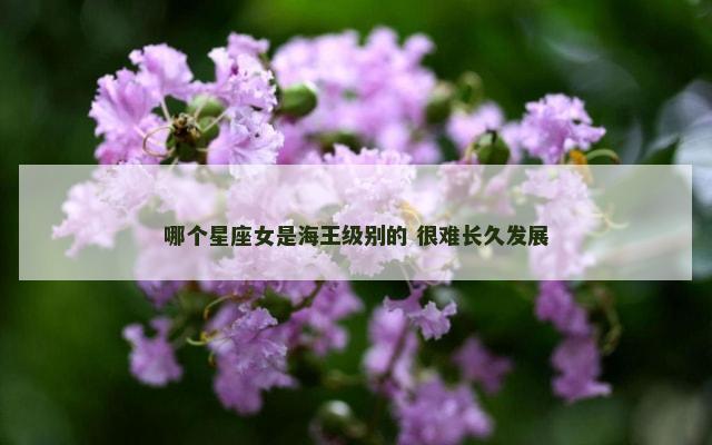 哪个星座女是海王级别的 很难长久发展