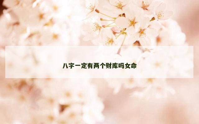 八字一定有两个财库吗女命