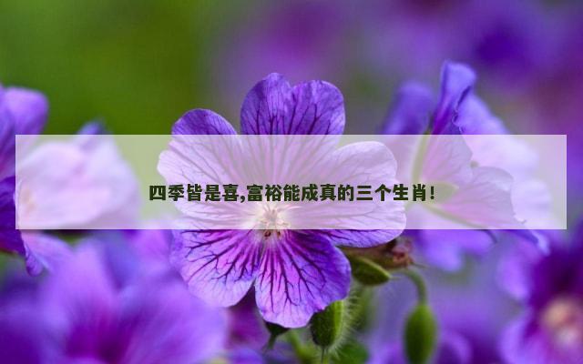 四季皆是喜,富裕能成真的三个生肖！