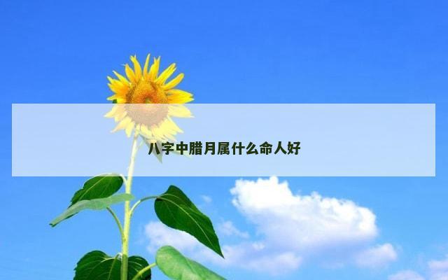 八字中腊月属什么命人好