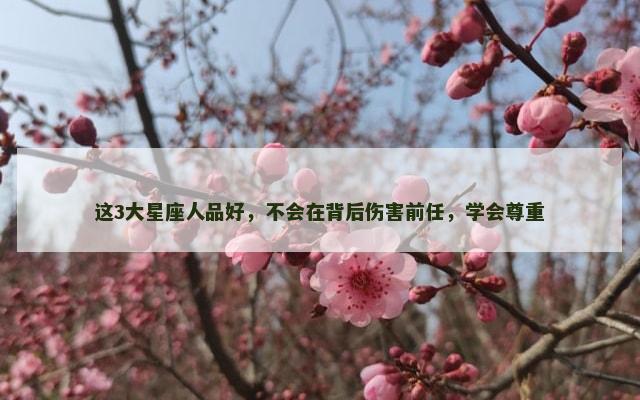 这3大星座人品好，不会在背后伤害前任，学会尊重