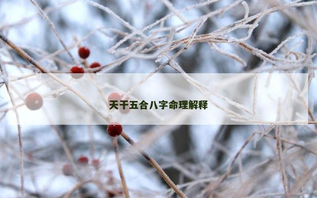 天干五合八字命理解释