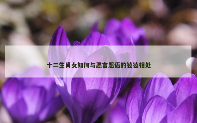 十二生肖女如何与恶言恶语的婆婆相处