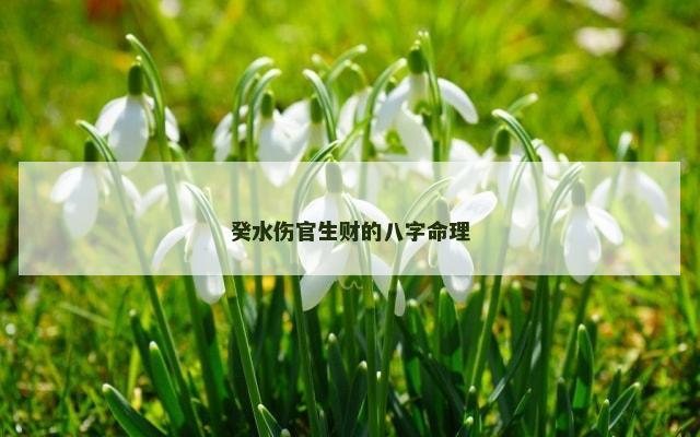 癸水伤官生财的八字命理