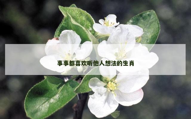 事事都喜欢听他人想法的生肖