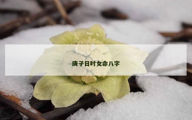 庚子日时女命八字