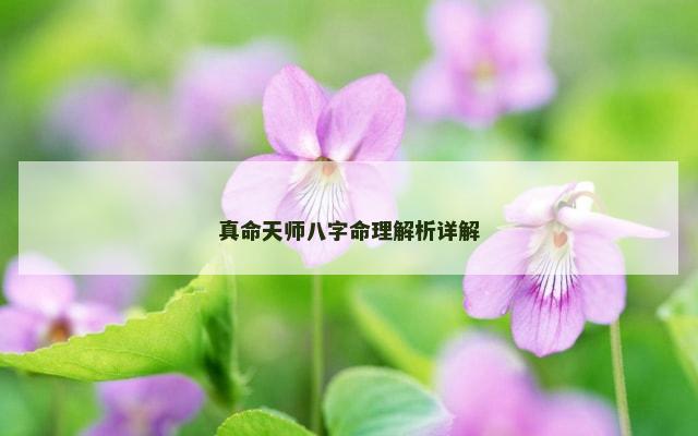 真命天师八字命理解析详解