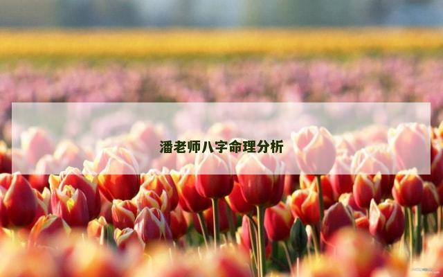 潘老师八字命理分析