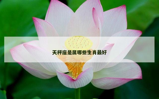 天秤座是属哪些生肖最好