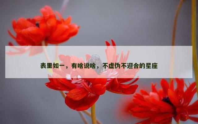 表里如一，有啥说啥，不虚伪不迎合的星座