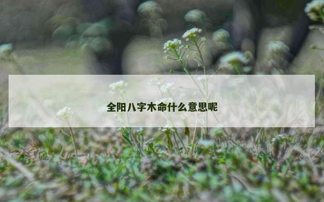 全阳八字木命什么意思呢