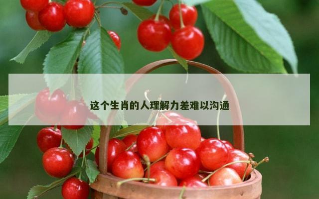 这个生肖的人理解力差难以沟通