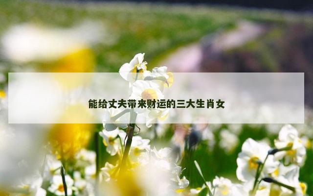能给丈夫带来财运的三大生肖女